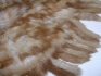 DSCF6115(1)