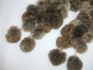 DSCF6110(1)